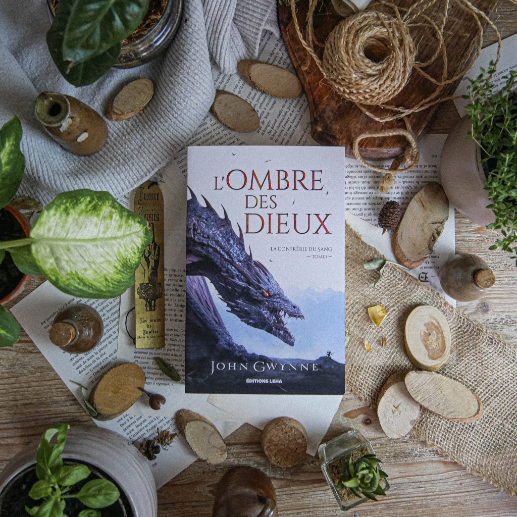 L&rsquo;ombre des dieux